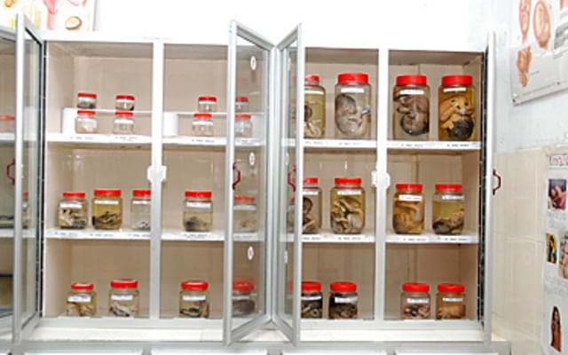 St. James College of Nursing Chalakudy Infrastructure photo 2